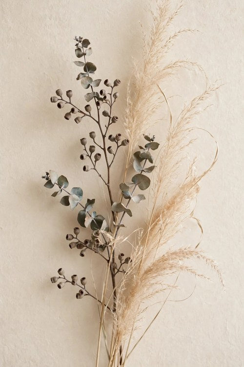 Dried eucalyptus and pampas grass